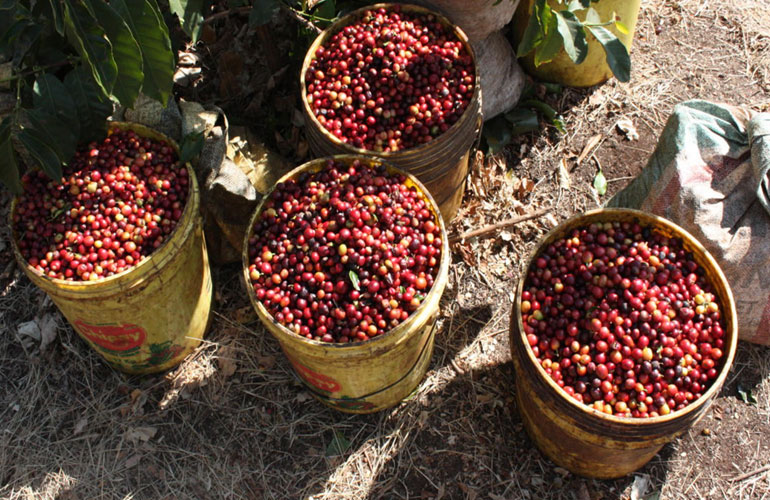 Arusha Tanzania family friendly holiday