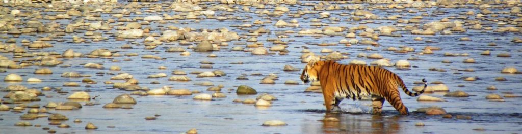 one of the family friendly destinations