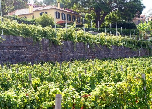 8 Surprisingly Low-cost Cities You Must Add to Your Travel List