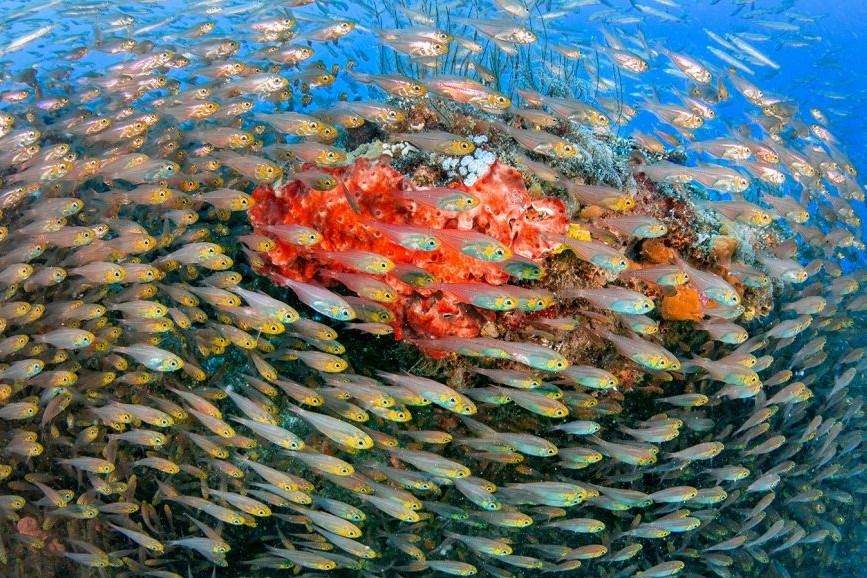 African coastal jewels Diani
