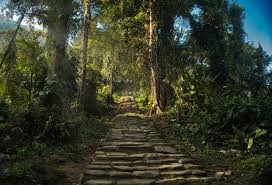 ancient ruins ciudad perdida Colombia