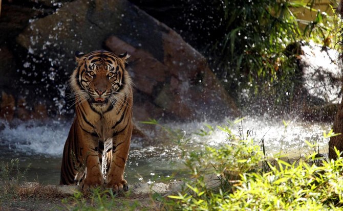 Indonesian islands Sumatra
