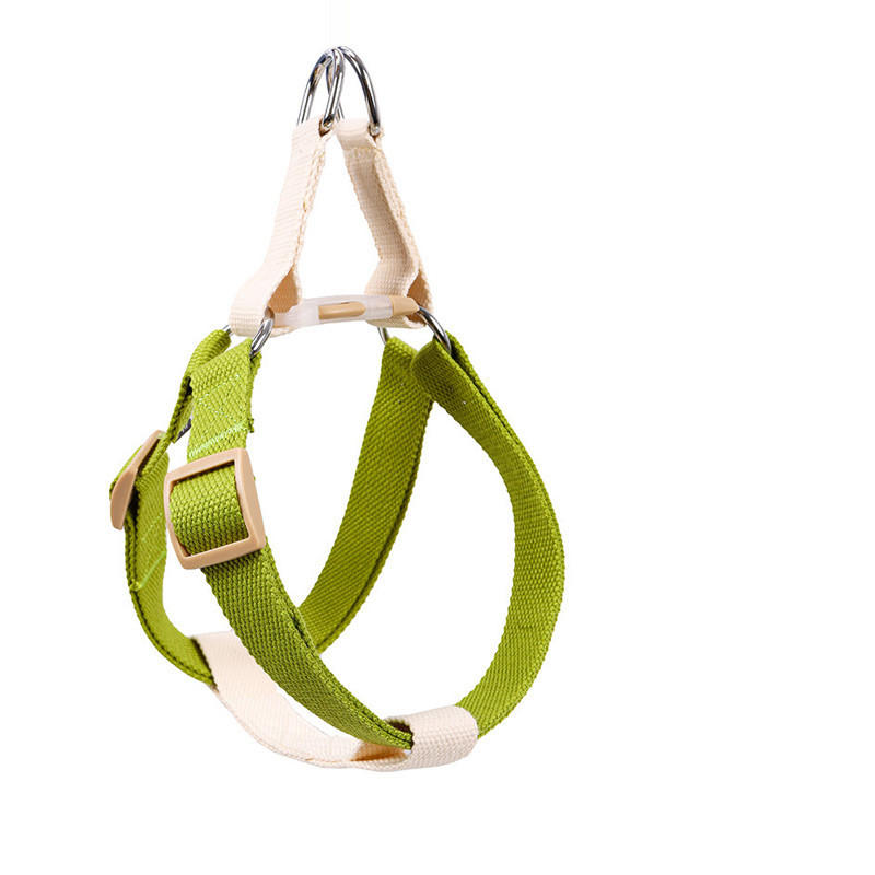 Leash for Medium and Large Dogs - Image 2