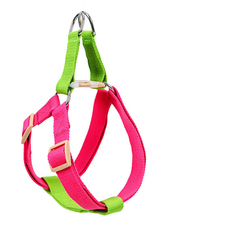 Leash for Medium and Large Dogs - Image 3