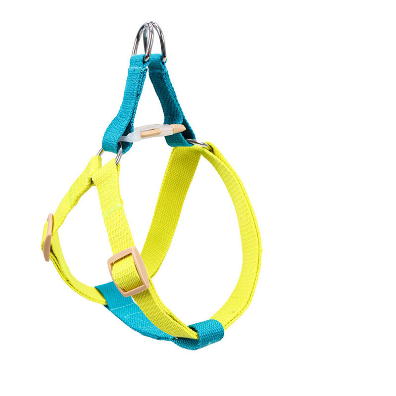 Leash for Medium and Large Dogs - Image 8