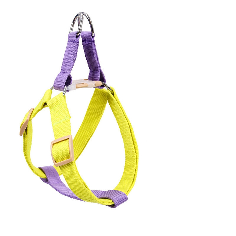 Leash for Medium and Large Dogs - Image 5
