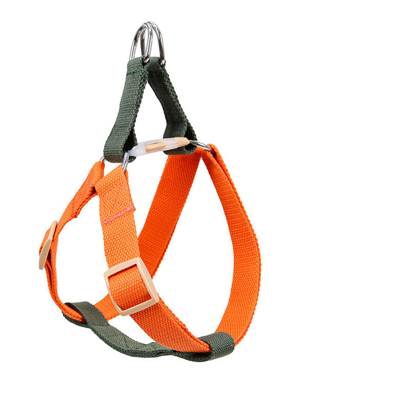 Leash for Medium and Large Dogs - Image 6
