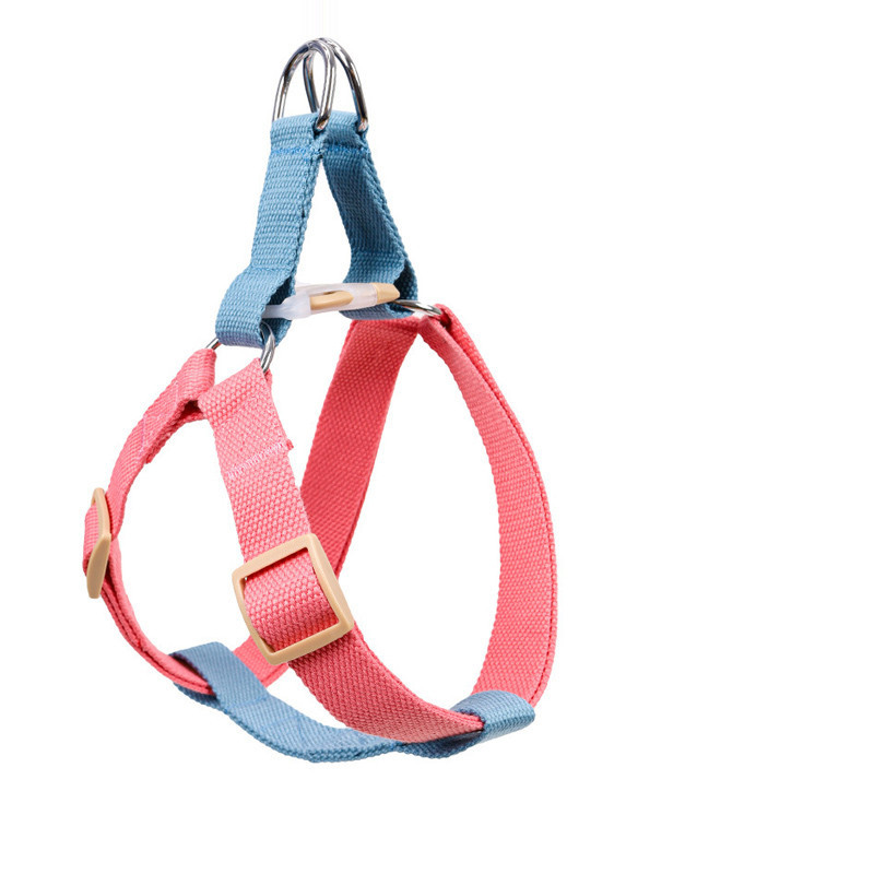Leash for Medium and Large Dogs - Image 4