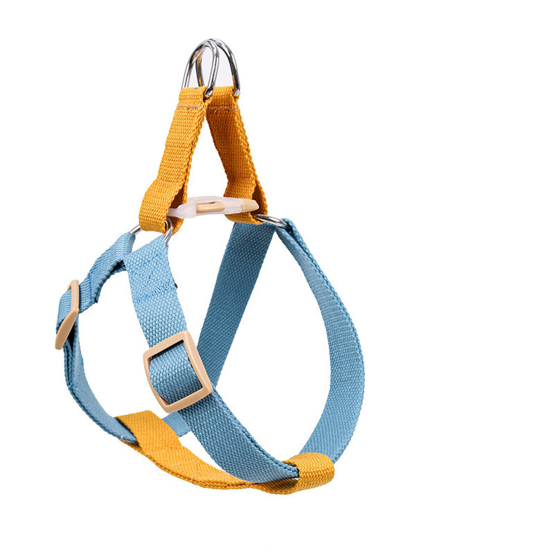 Leash for Medium and Large Dogs - Image 7