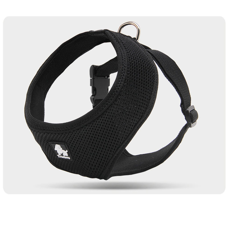 Adjustable Pet Harness & Leash Set - Image 4