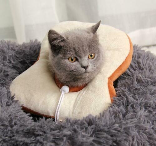 Adjustable Pet Neck Cone – Soft Recovery Collar for Cats & Small Dogs - Image 3